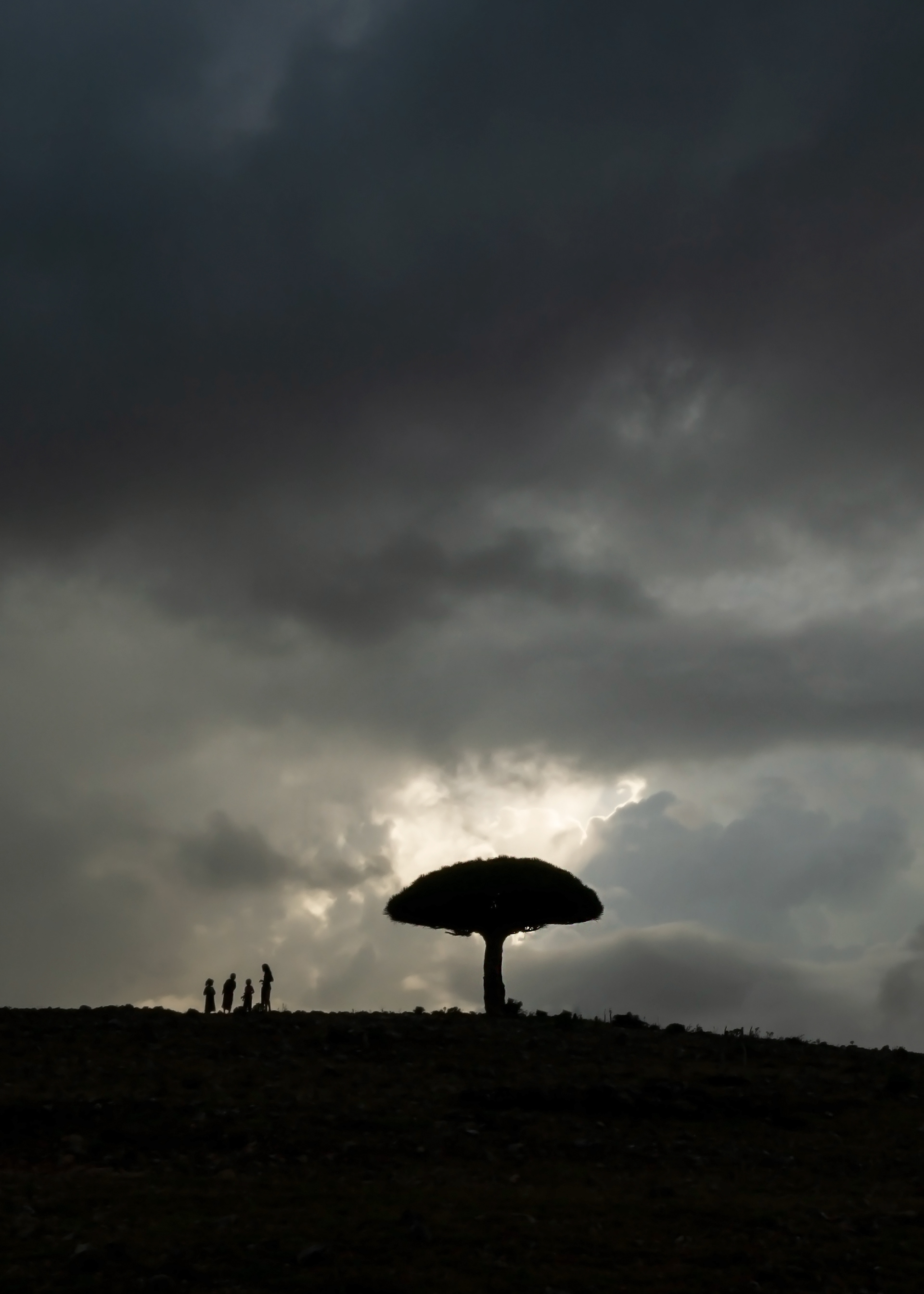 Janos Rautonen Socotra