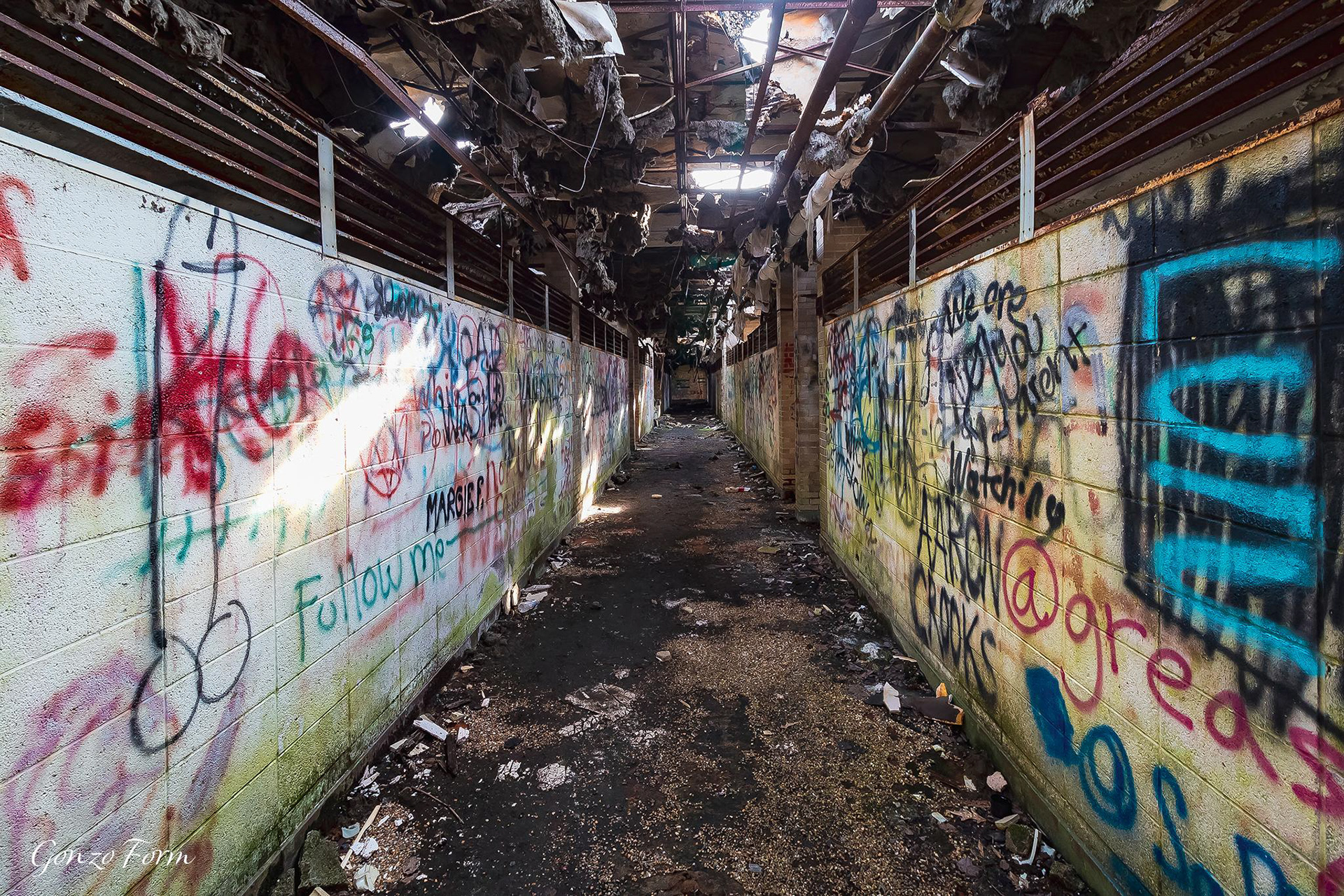 Gonzo Form Old Ellerbe Road School