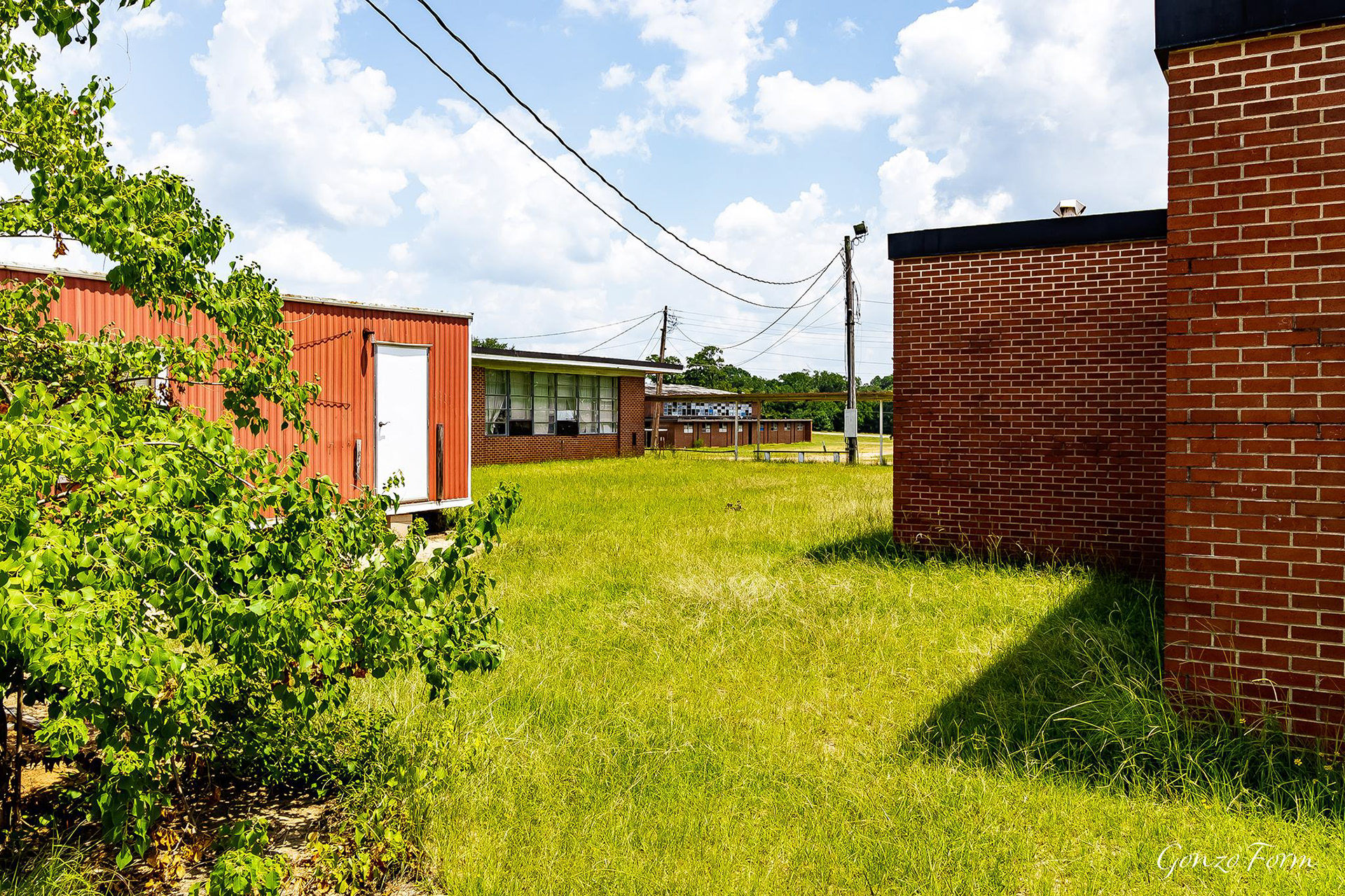 Gonzo Form Bernice High School