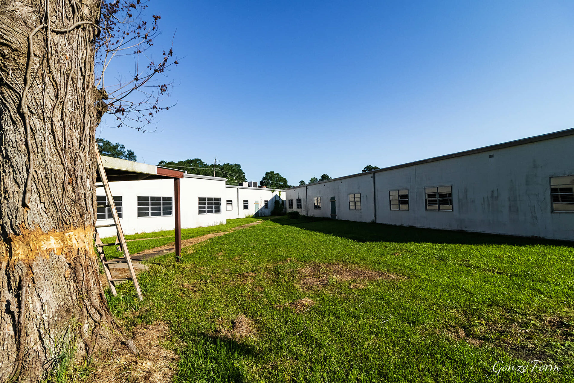 Gonzo Form Maison de St. James Nursing & Rehabilitation Center