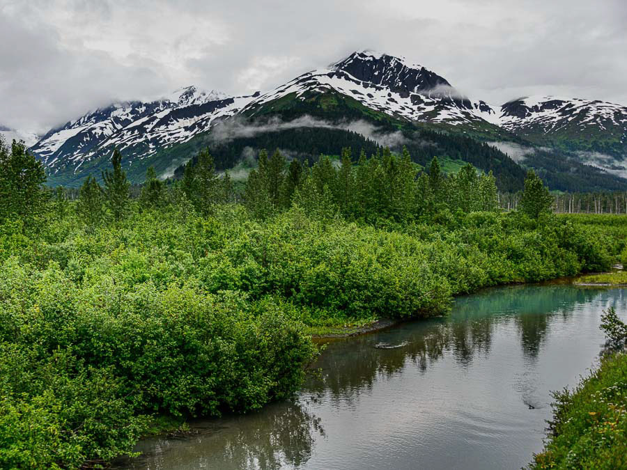 229 ALASCA