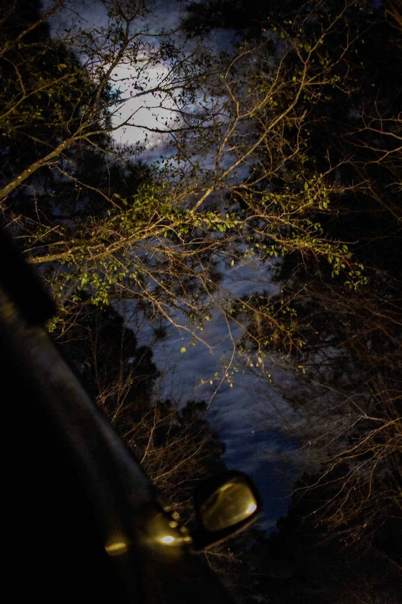 Back lit clouds down a dirt road