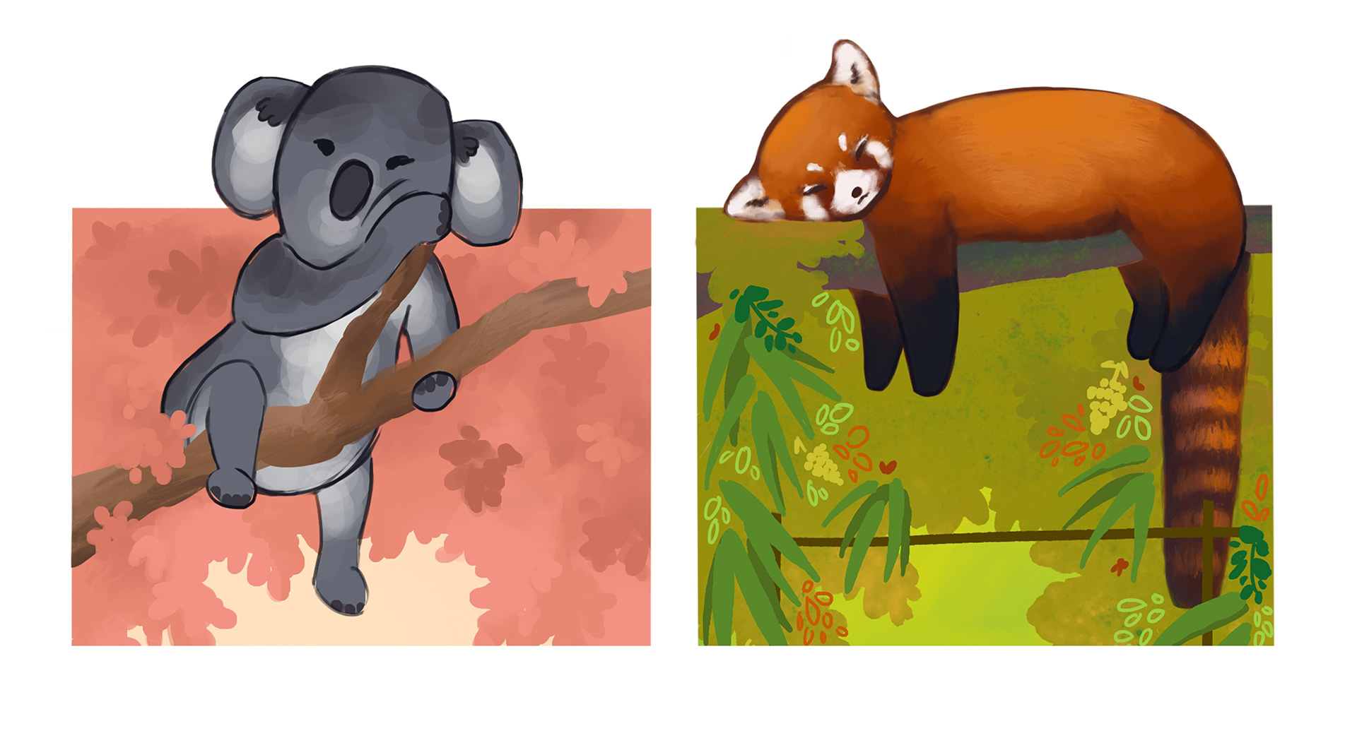 Koala and Red Panda