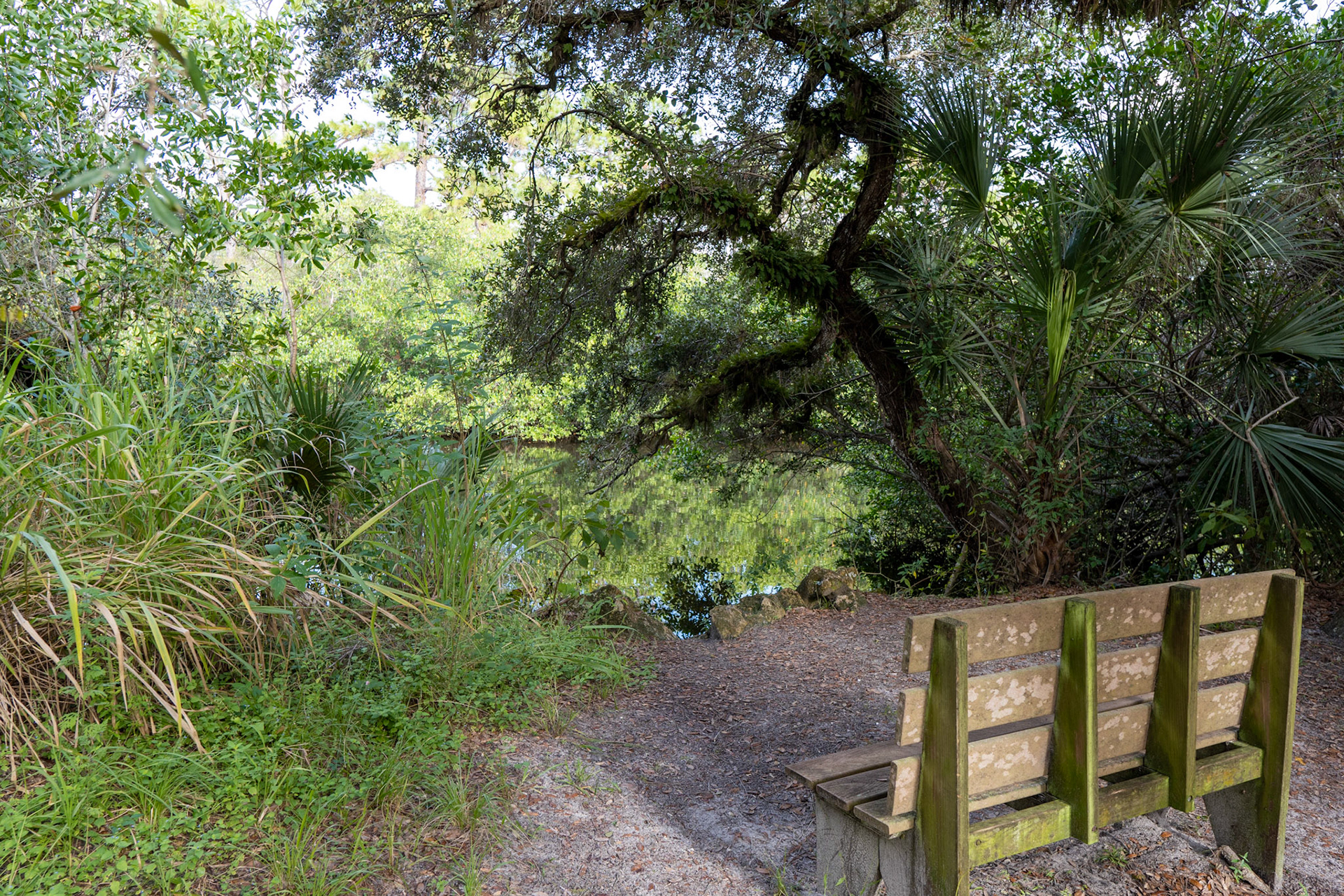Koreshan State Park