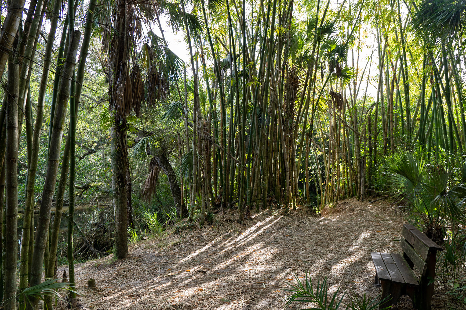 Koreshan State Park