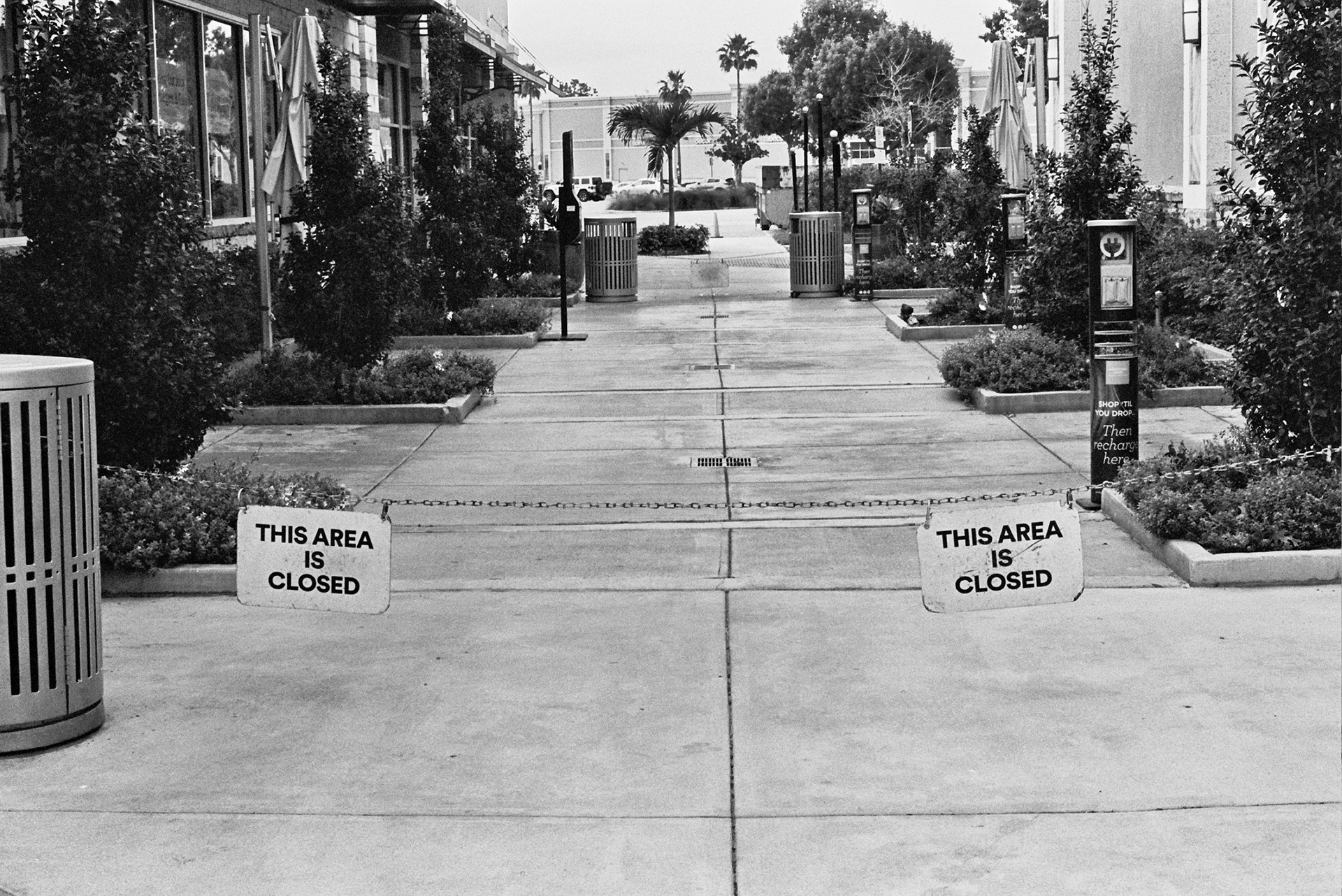 This Area is Closed, Film Photography, 6" x 4"