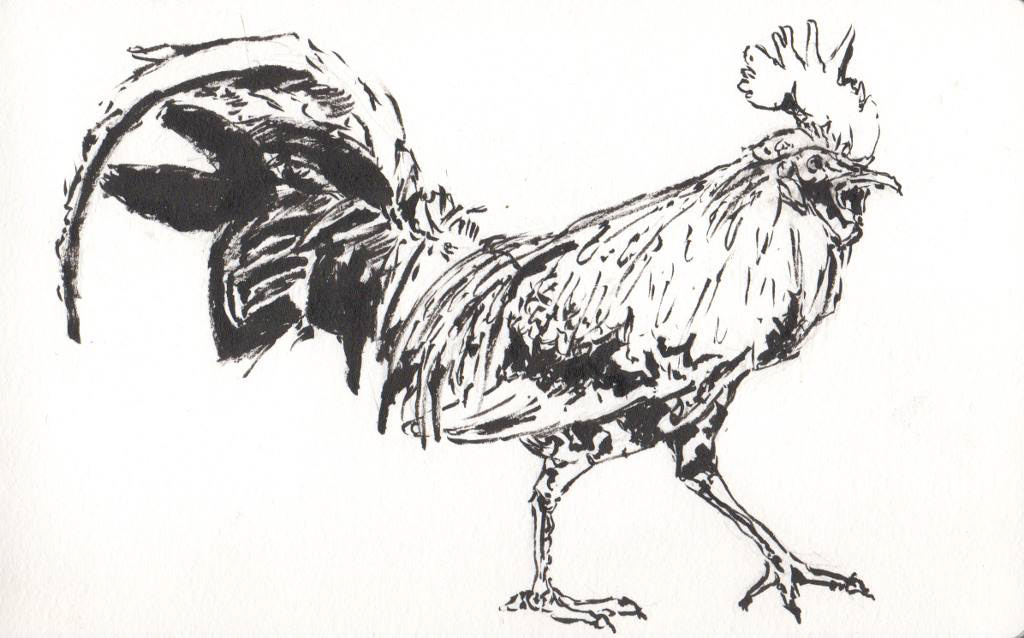 Year of the Rooster, 2017