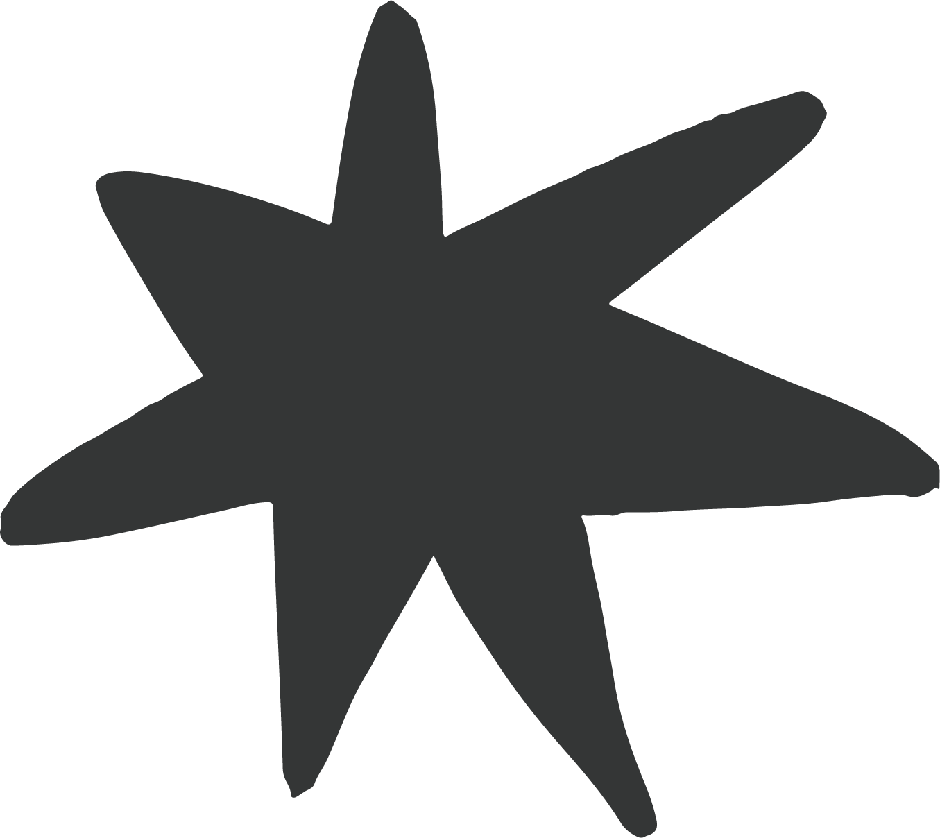 PAVS STAR.jpg