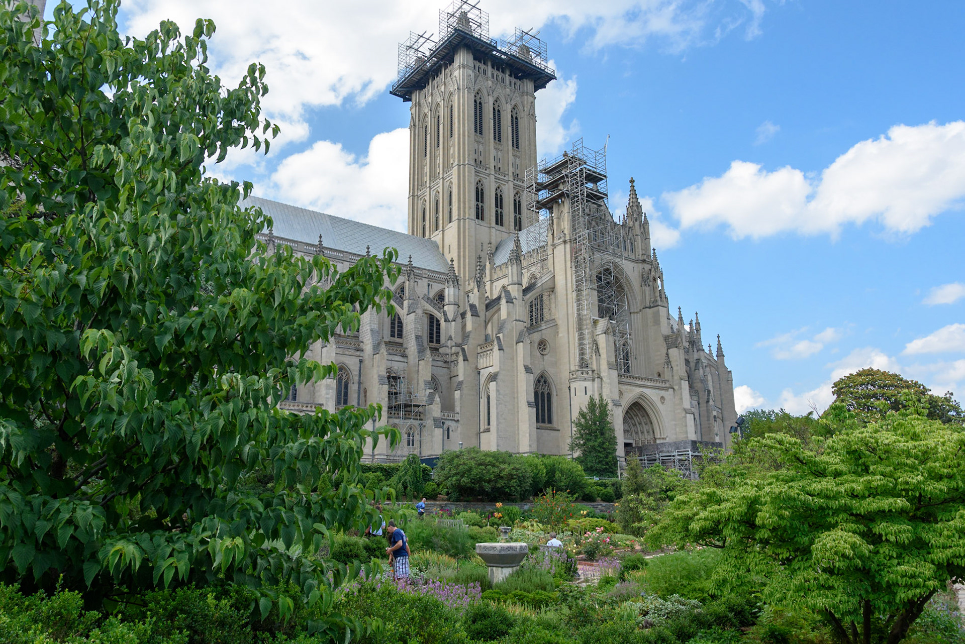 VL Time Captures - Washington National Cathedral