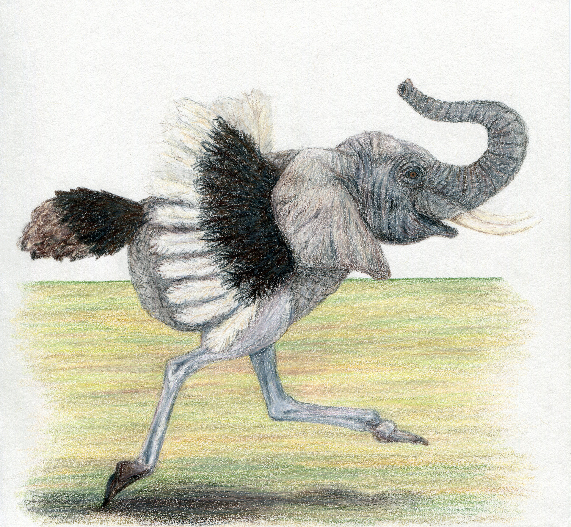 February: The Ostriphant