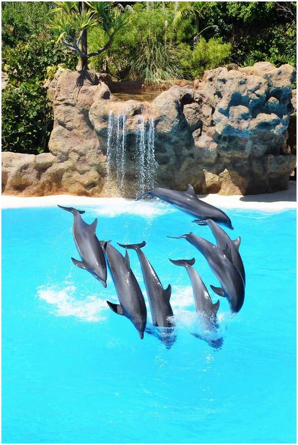 Waterfauna