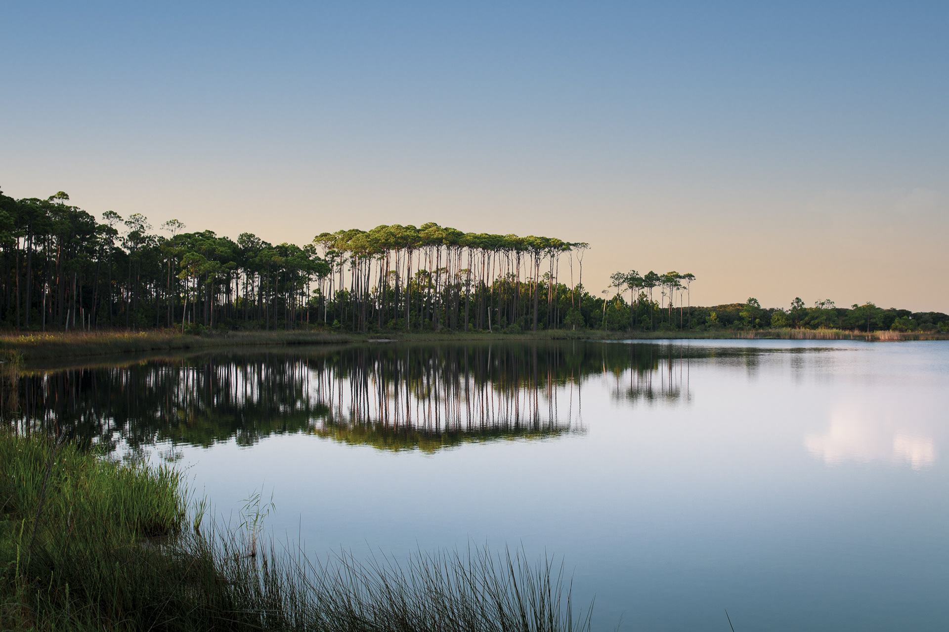 Chris Sheeler - Western Lake Santa Rosa Beach FL