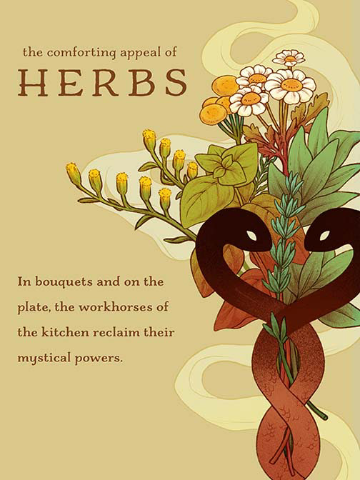 Mock Editorial Cover - "Herbs"