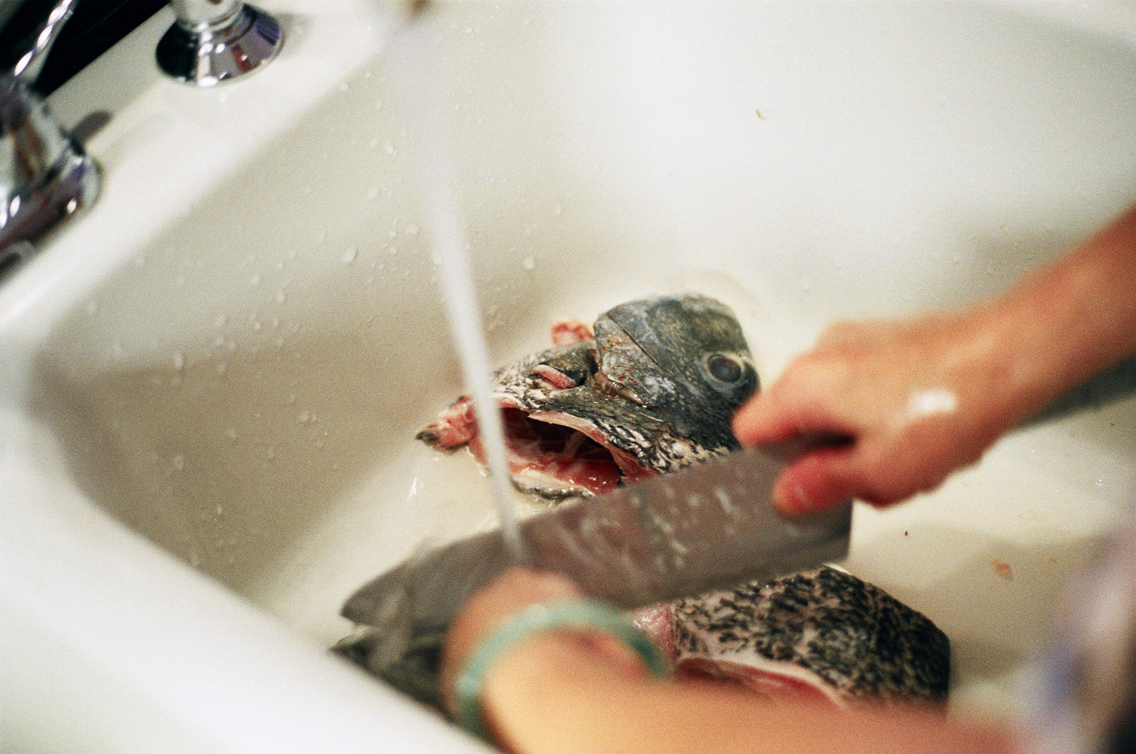 Cleaning fish.