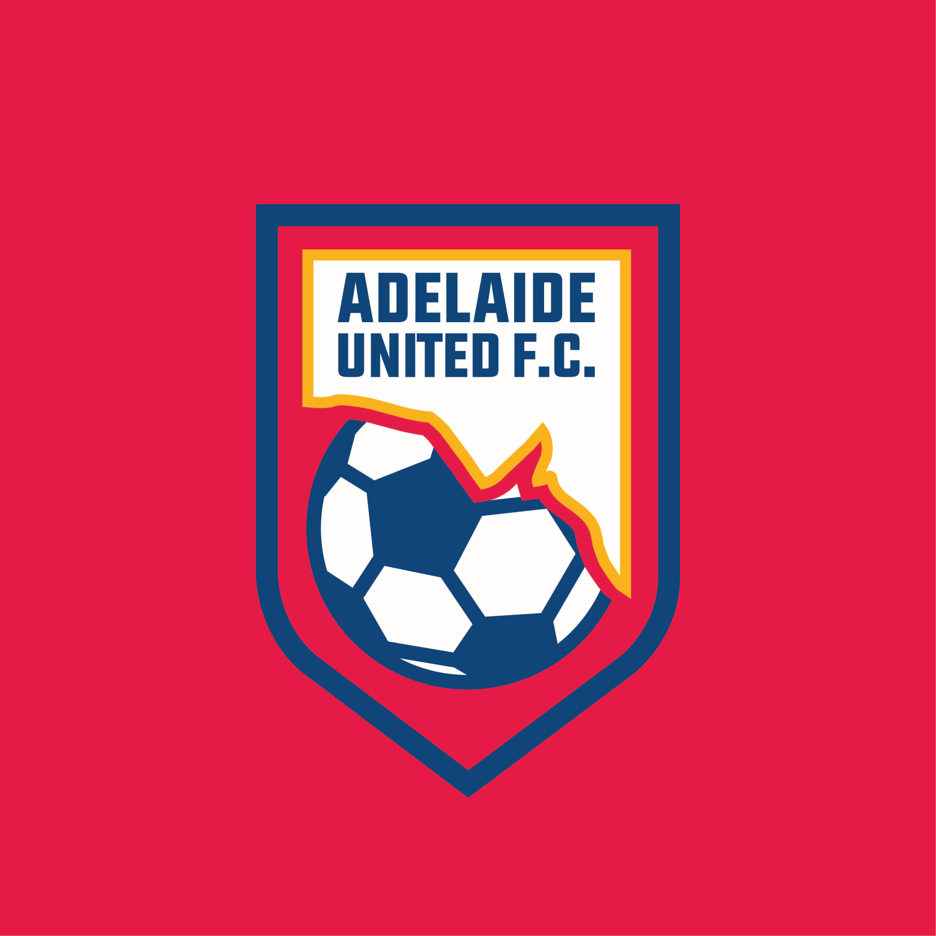 Luke Bray Designs Adelaide United