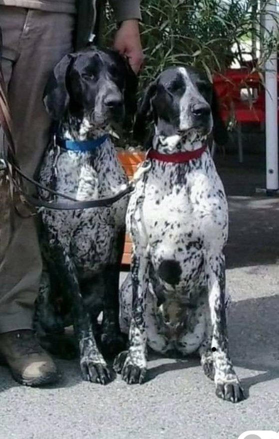 DOKTOR AND HIS MOTHER