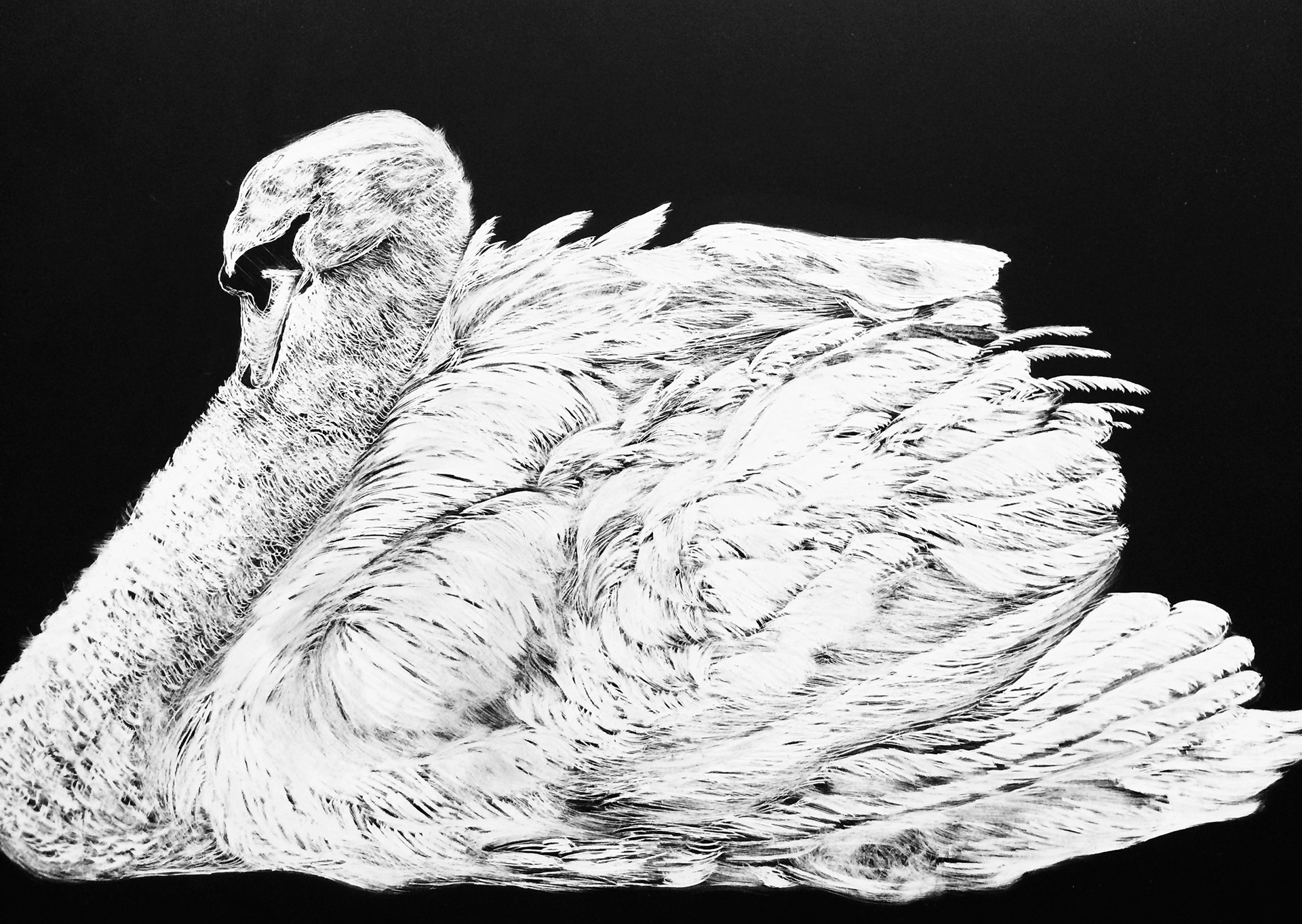 Wildlife collection- Swan (2016) **item sold**