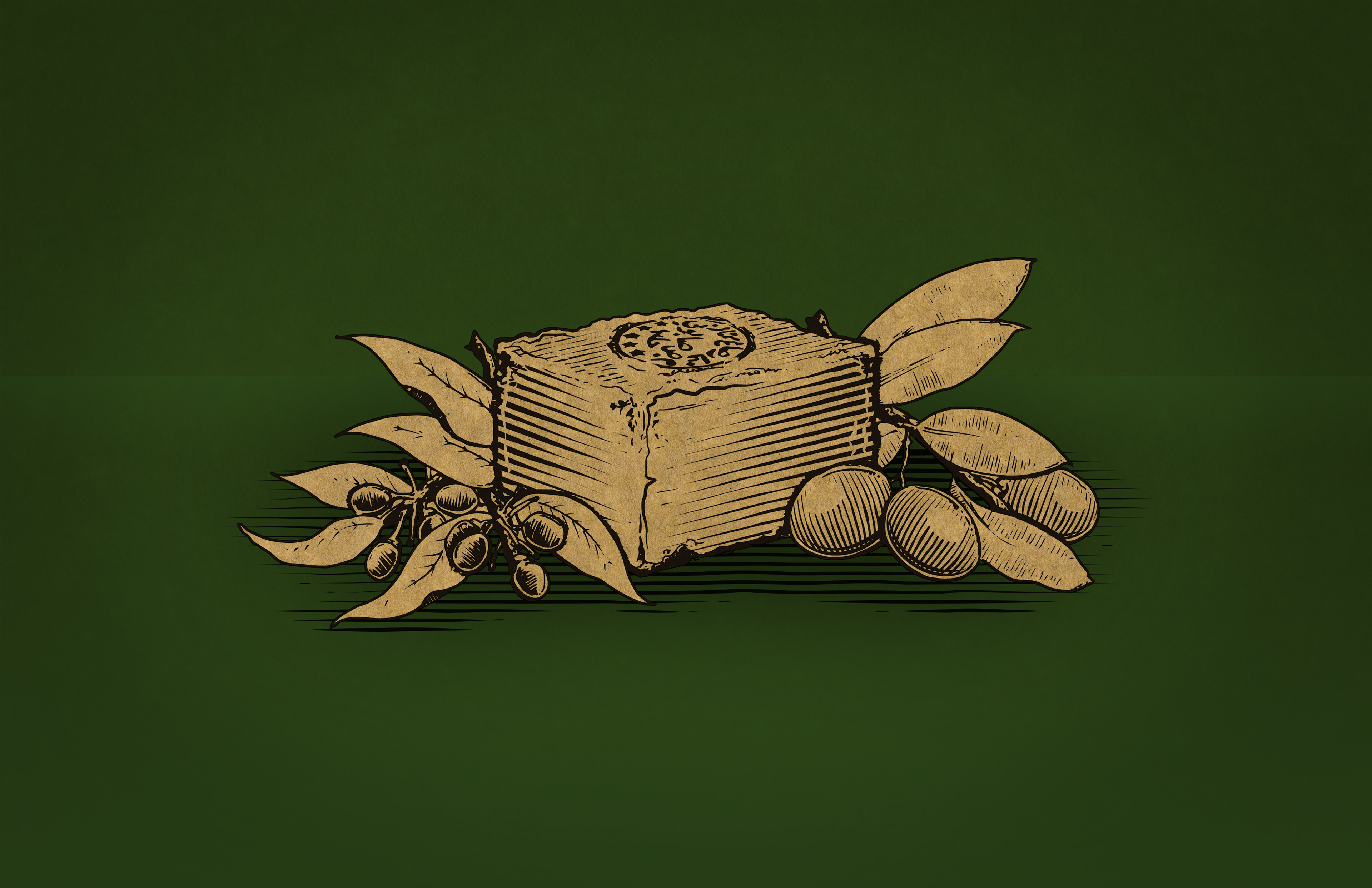 Illustration from Ancient Olive Soap's club store packaging as draw by Andrew Thompson