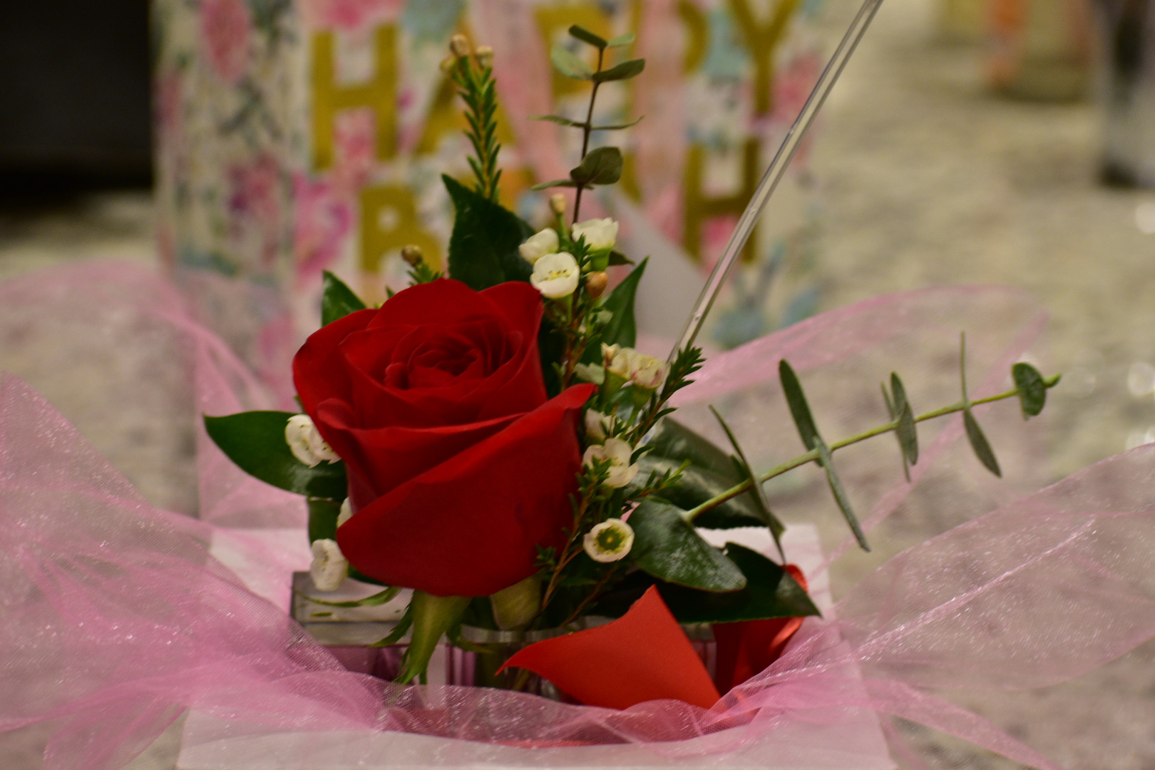 Photography - Smell of a rose