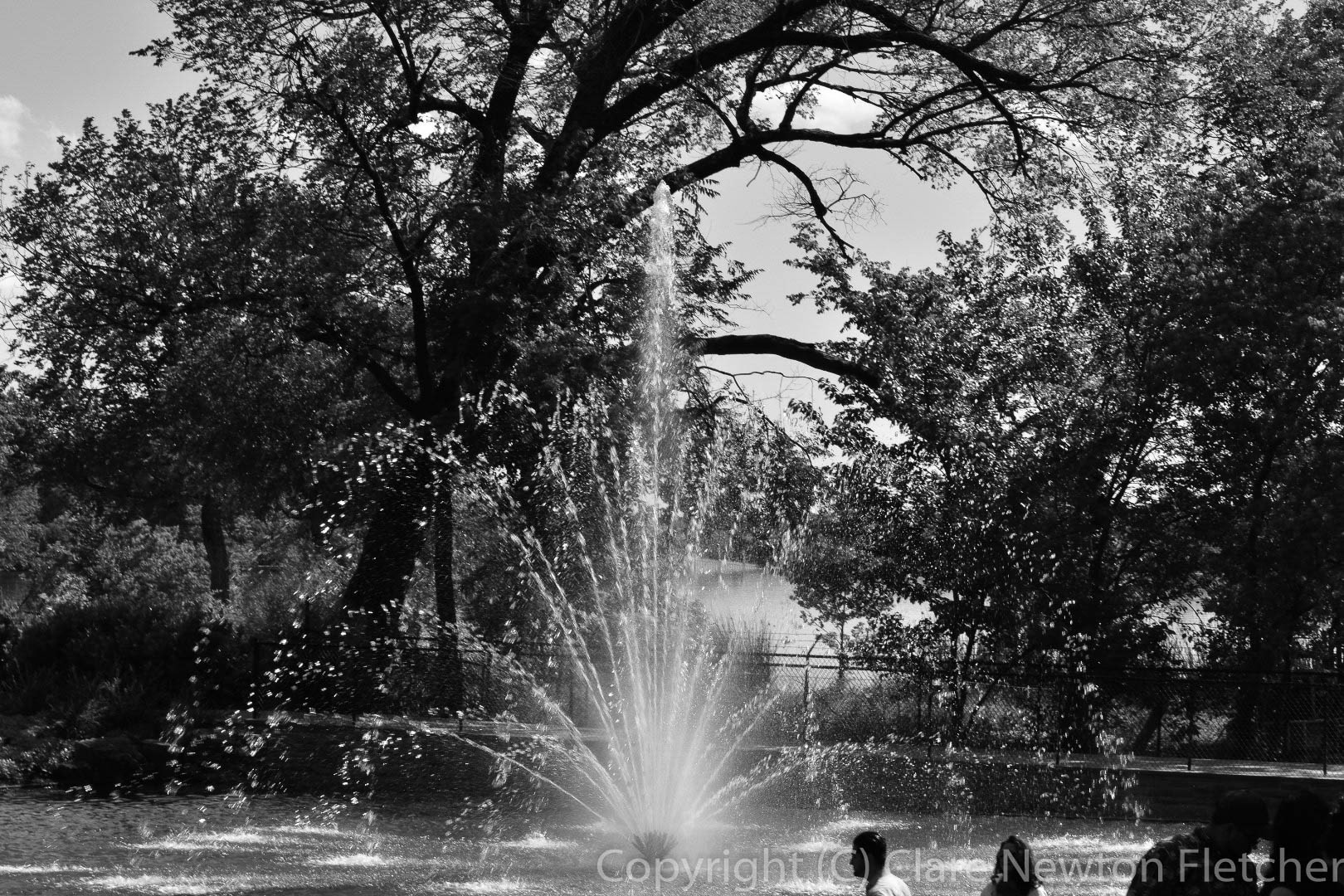 Photography - Black and White