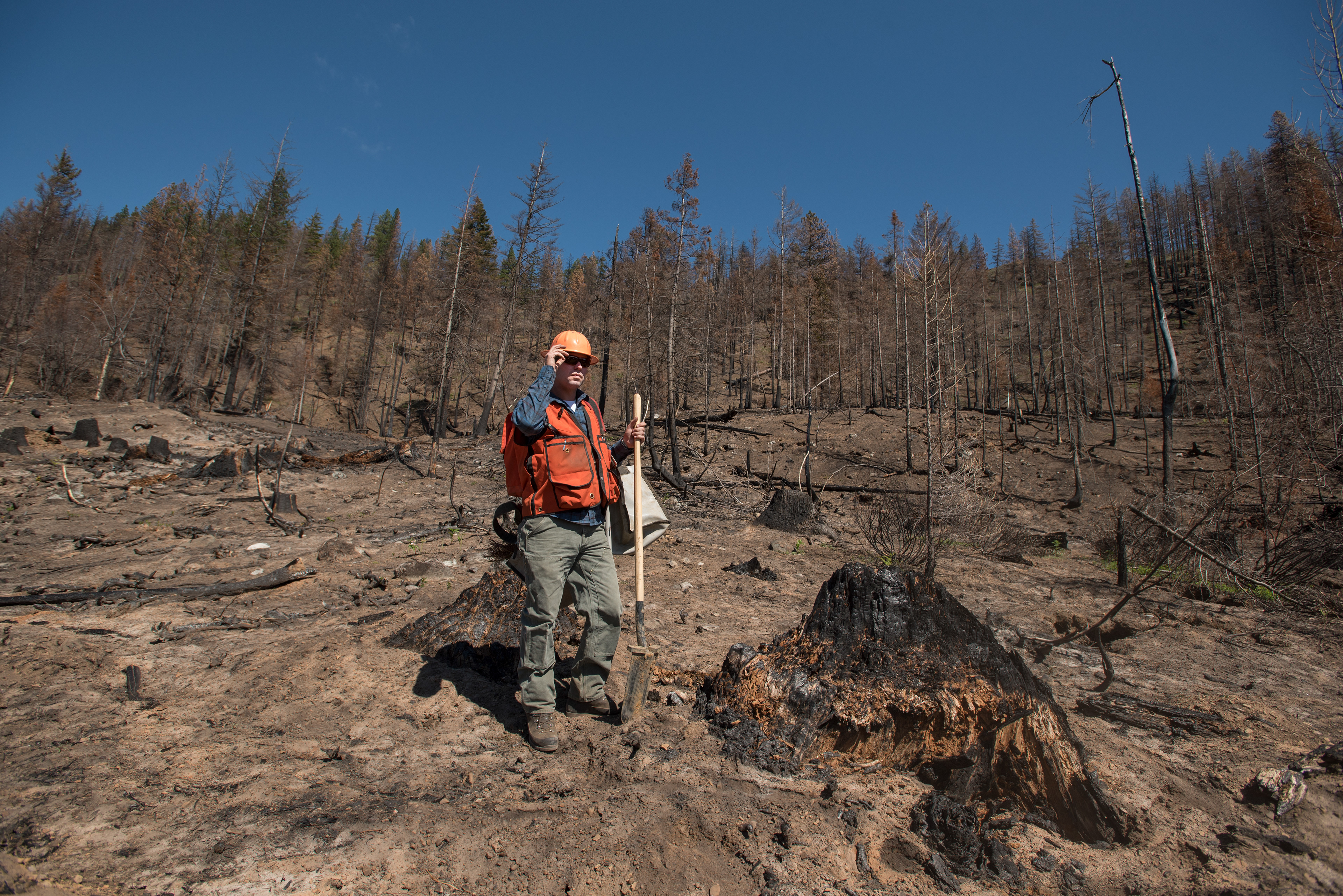 Hannah Letinich Documentary & Conservation Photographer Roslyn Tree Planting