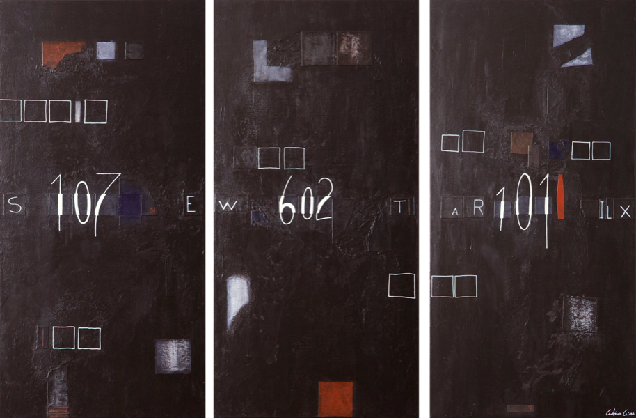 Antonio Aires Identity series canvas