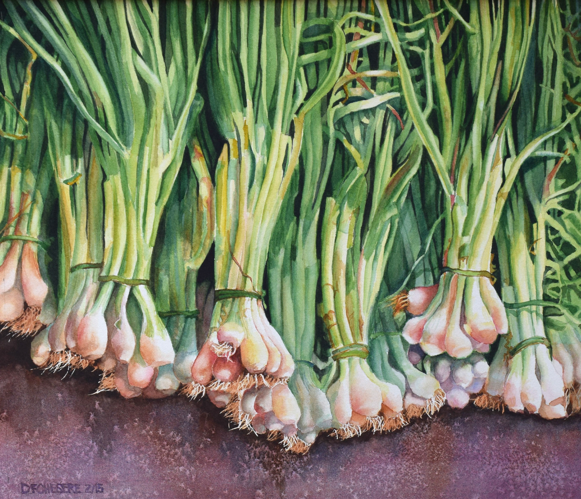 Las Cebollas 12x14 WC $61.20 Giclee