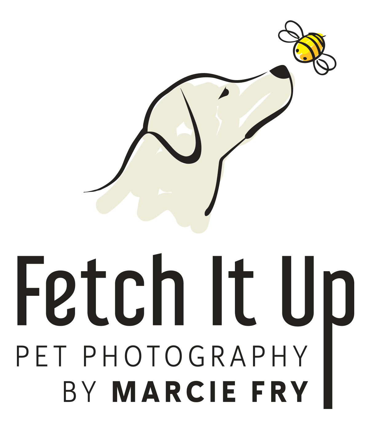 Fetch It Up Pet Photography About Me