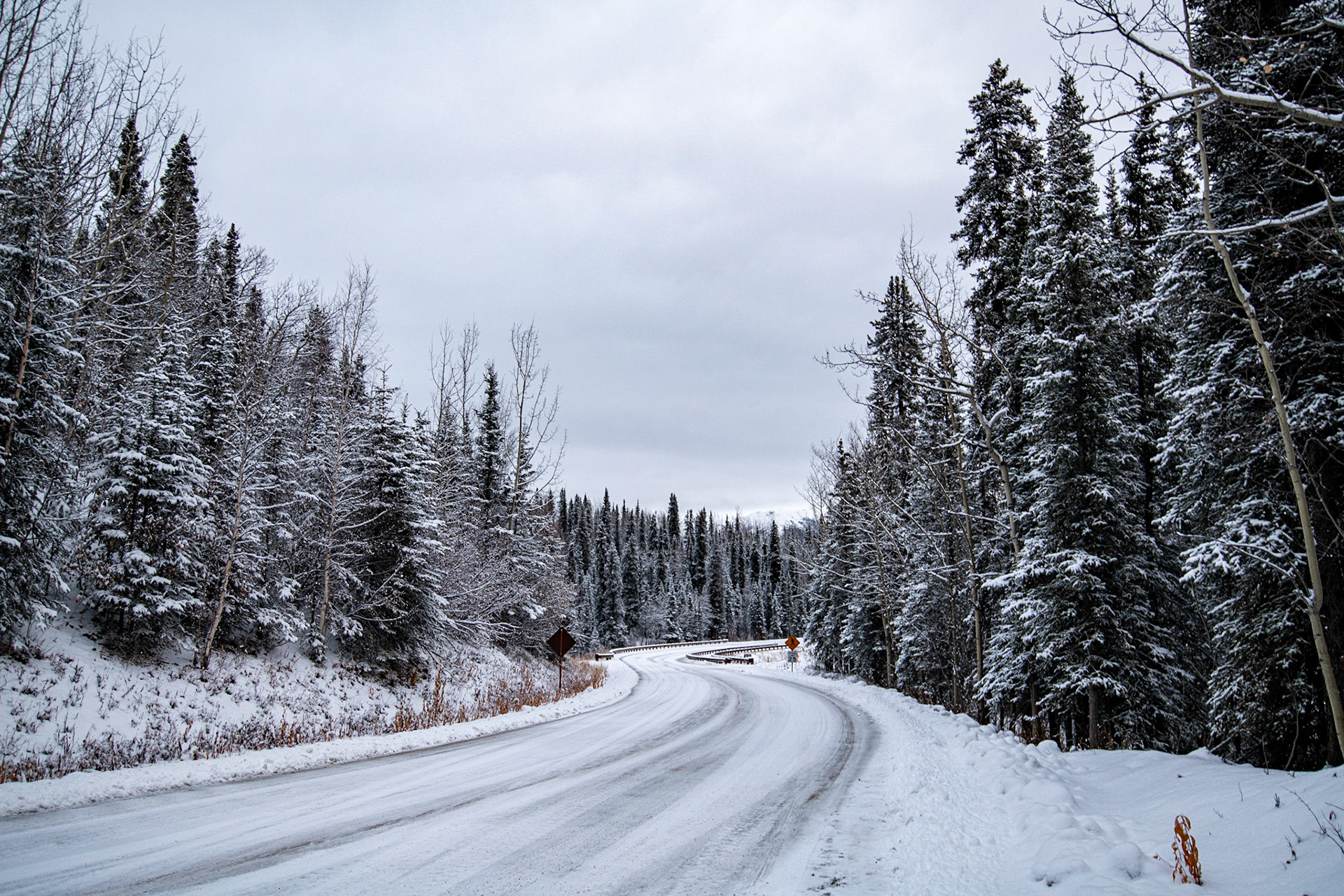 Denali National Park