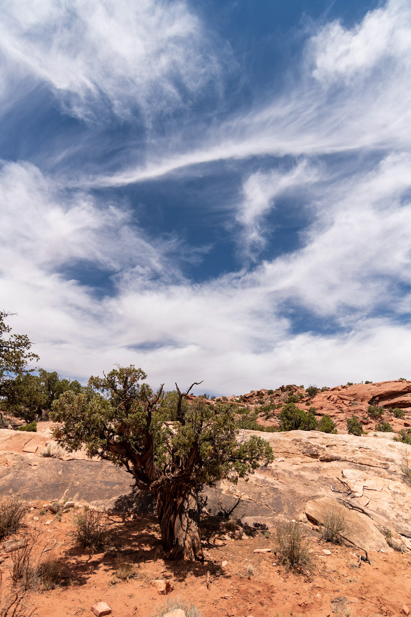 Syncline loop trail