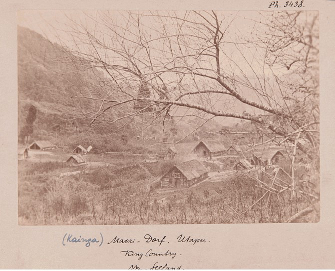 Maori village (kainga) Utapu, King Country (Collection Andreas Reischek). Vienna World Museum, photo 3.438
