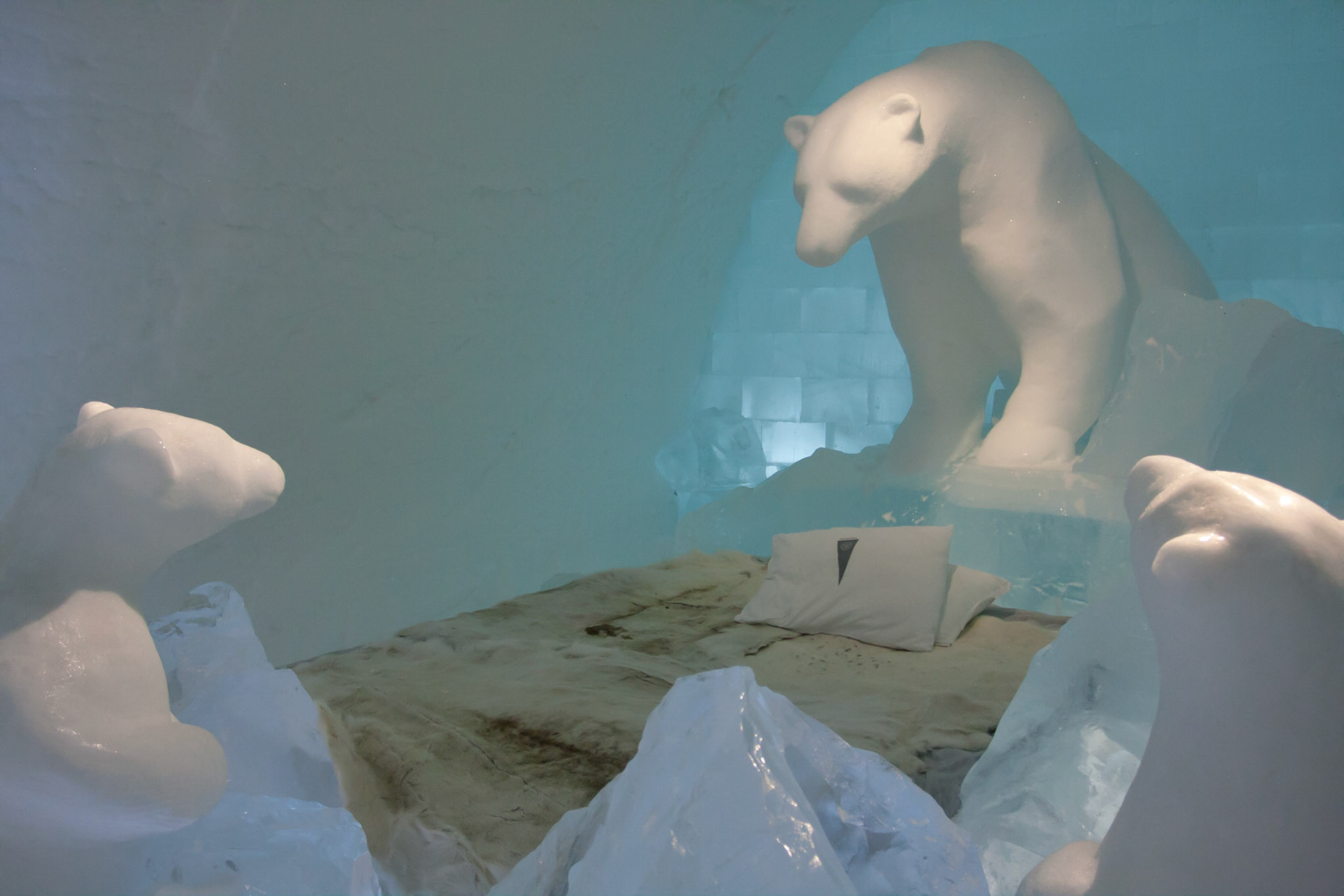 Art suite: "arktikos"