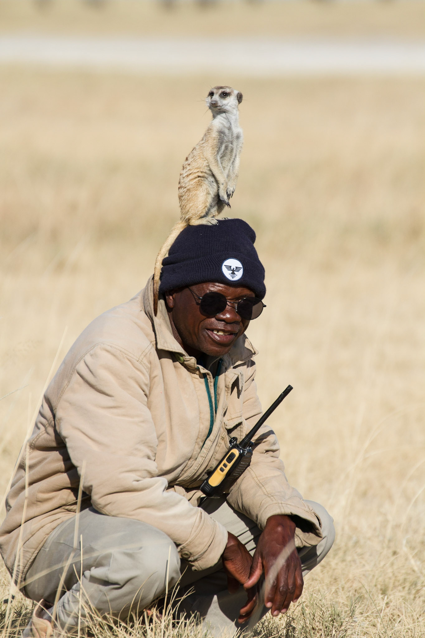 Great vantage point!