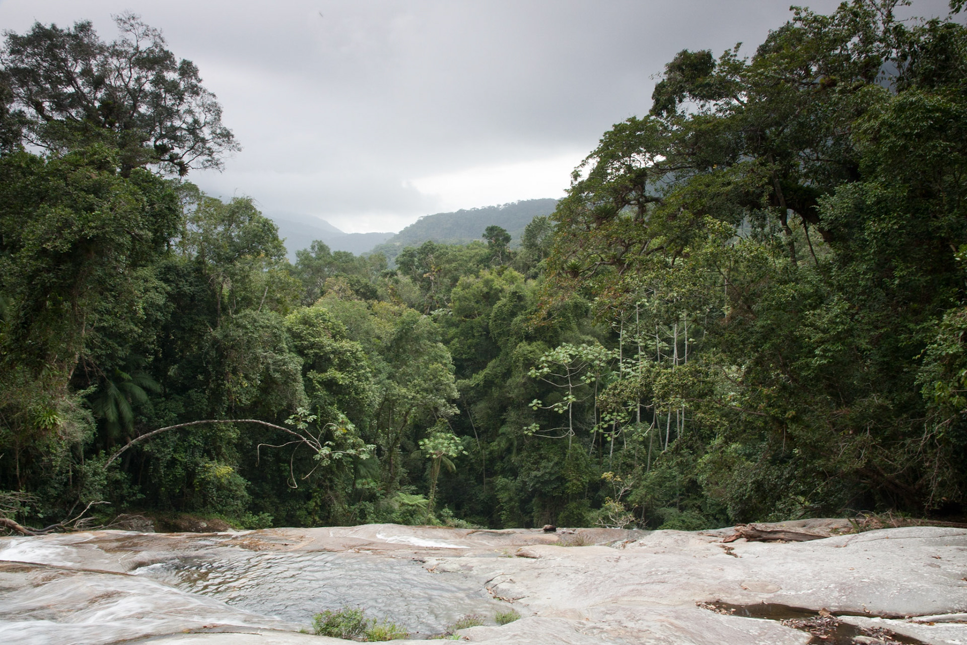 View of the Atlantic rainforest from the waterfall