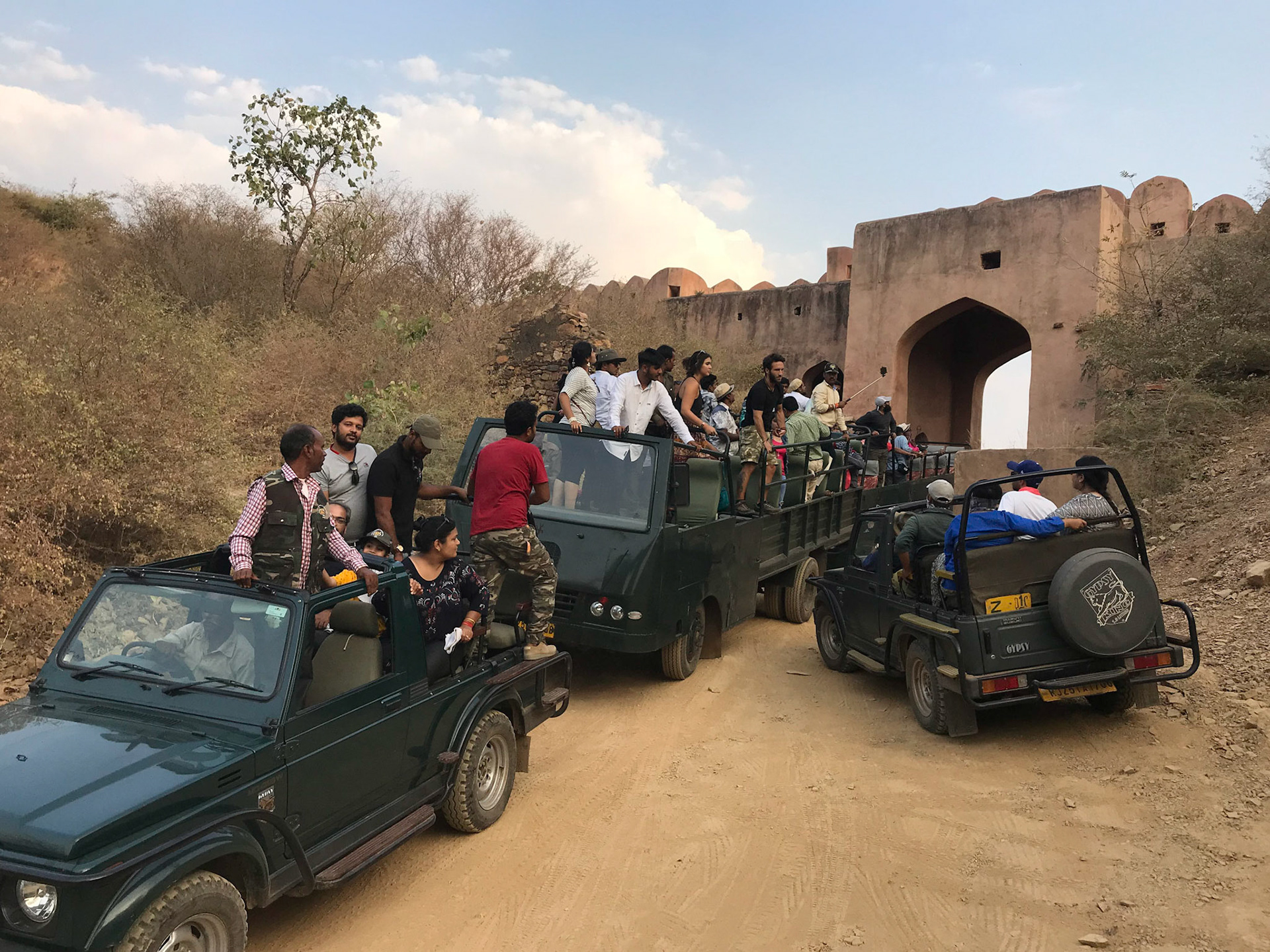 Looking for the tiger on top of the gate