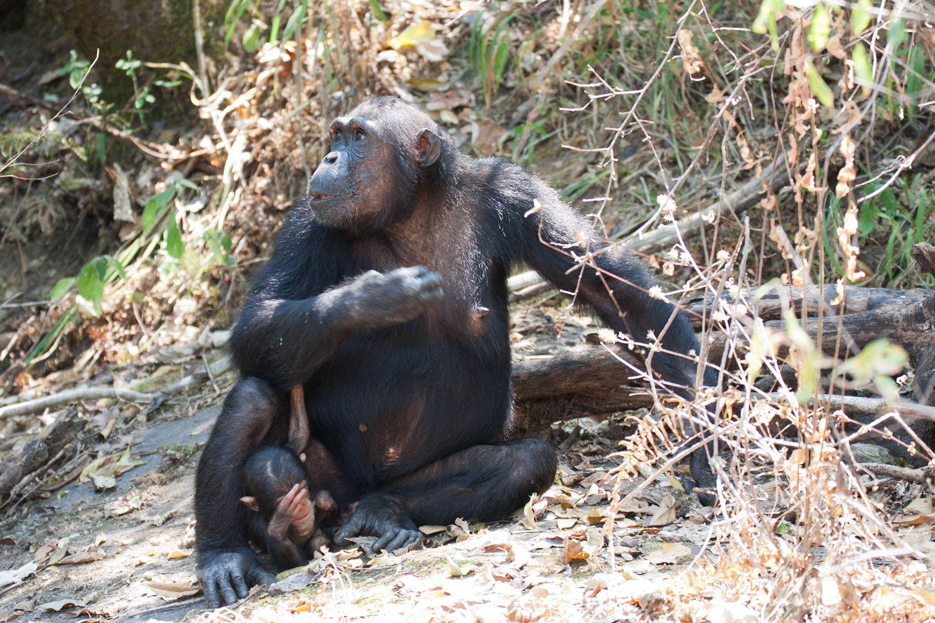 Cristina and her baby (approx 5 months)