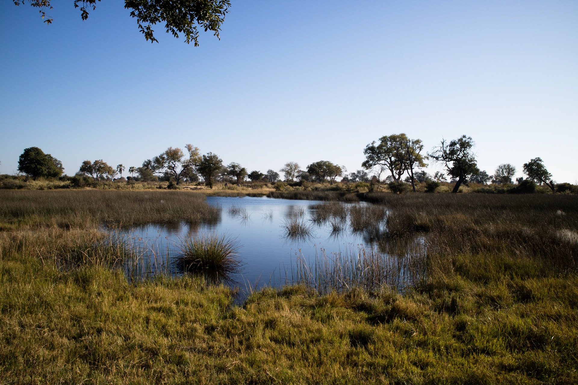 View from our tent at Duba Expedition Camp
