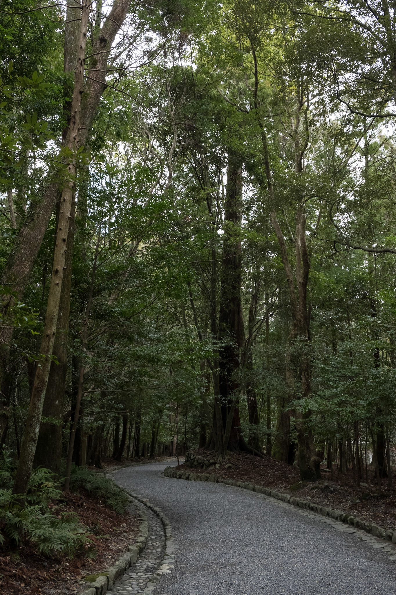 Ise Jingu inner shrine (Naiku)