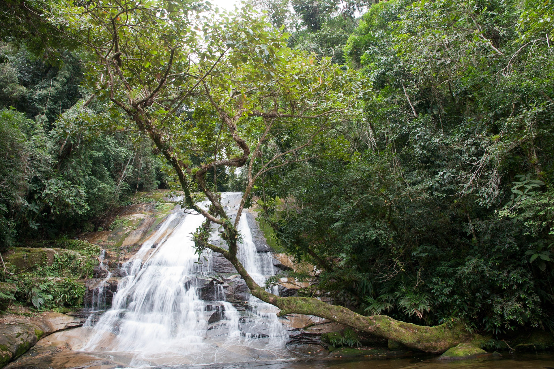 Waterfall in the Atlantic rainforest