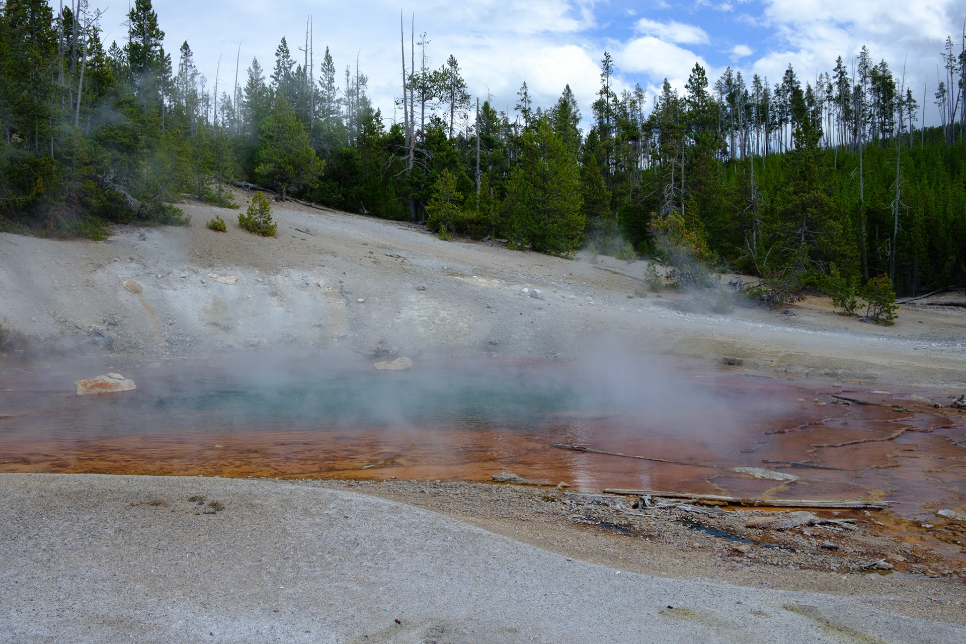 Echinus Geyser (Norris Geyser Basin)