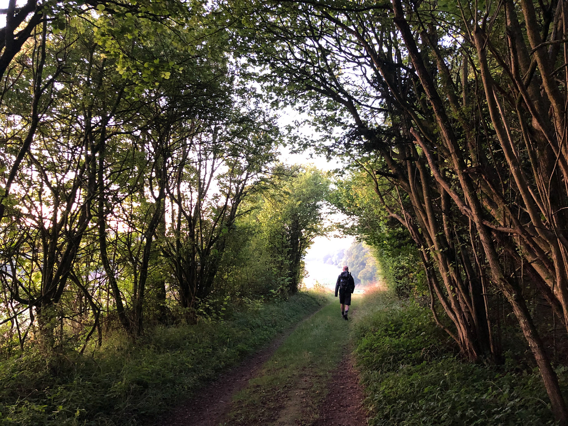 Walking along the Test Way near Andover Down