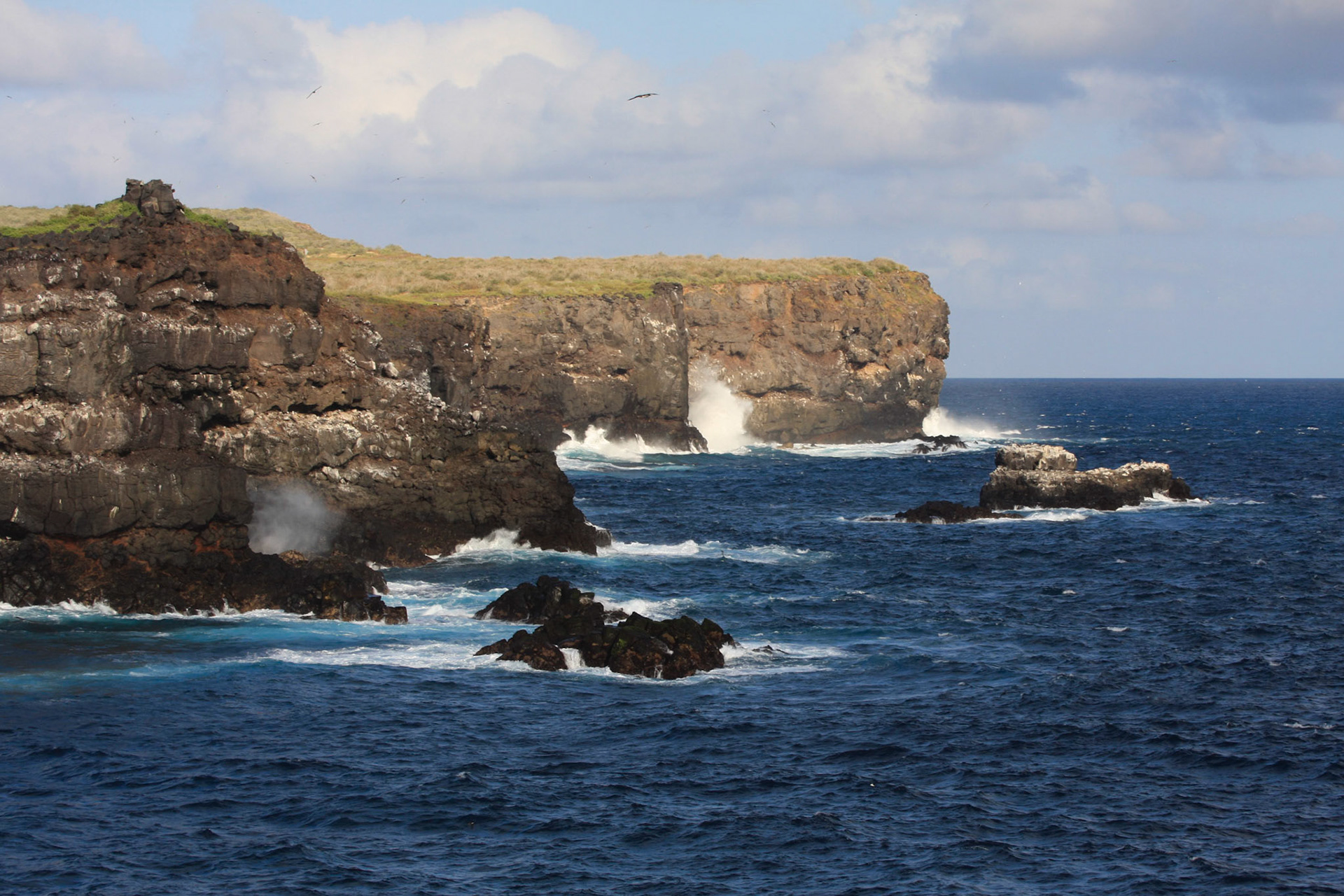 Coast of Espanola island
