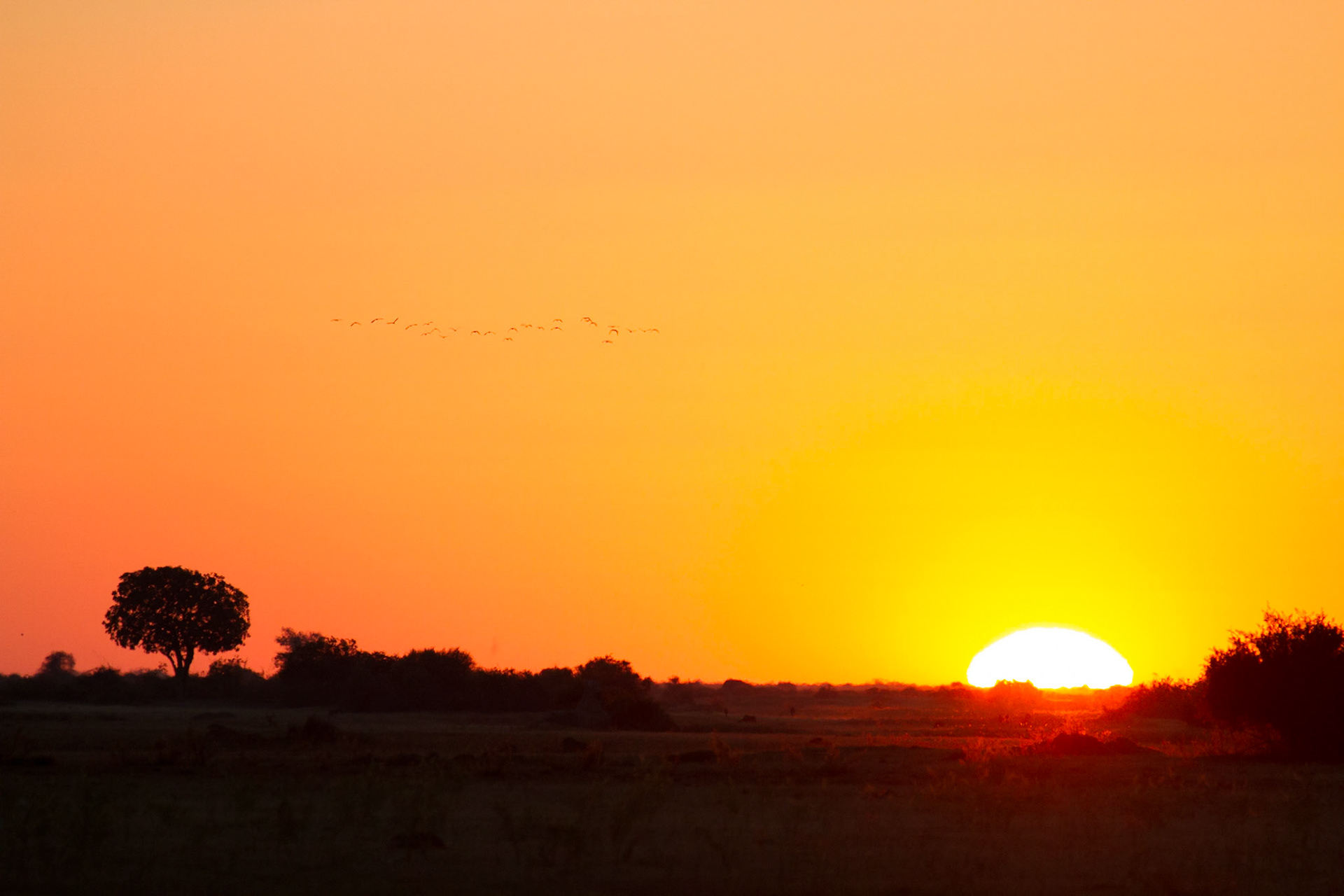 Sunset in the Okavango Delta