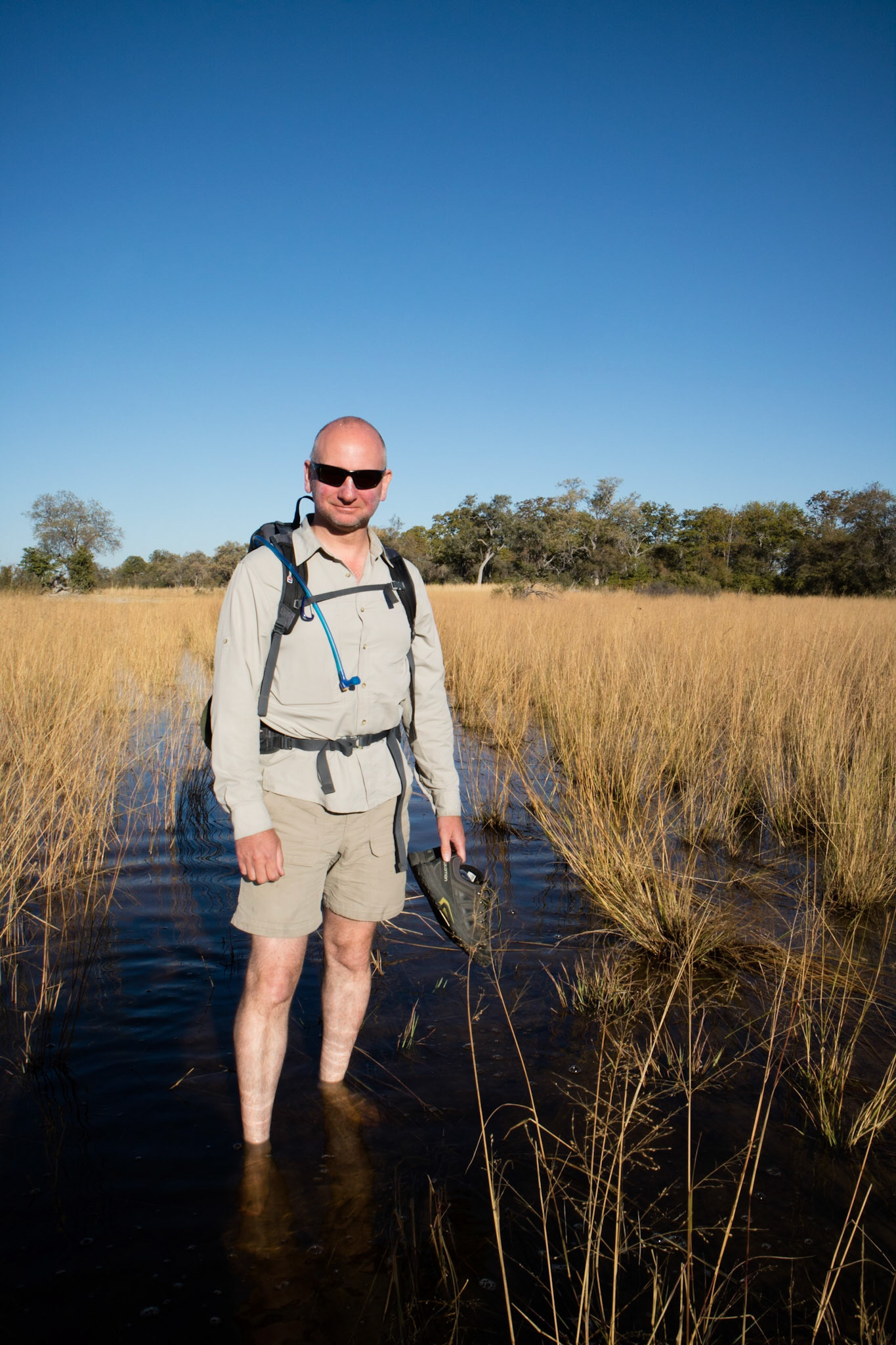 Morning walk, through more freezing water!