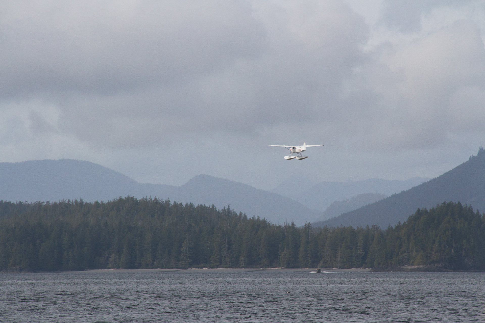 Float plane taking off