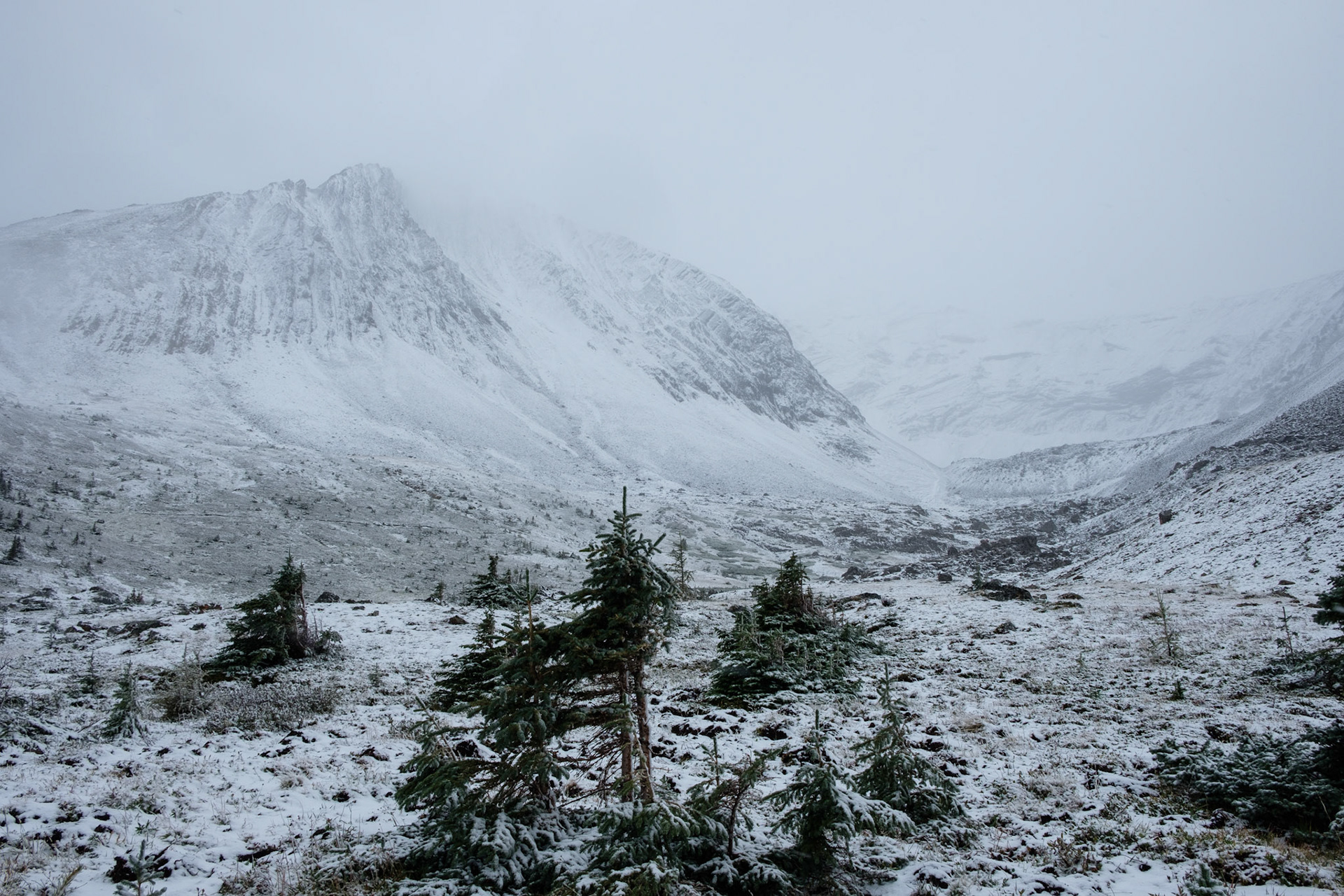 View from Ptarmigan Cirque hike after the snowstorm