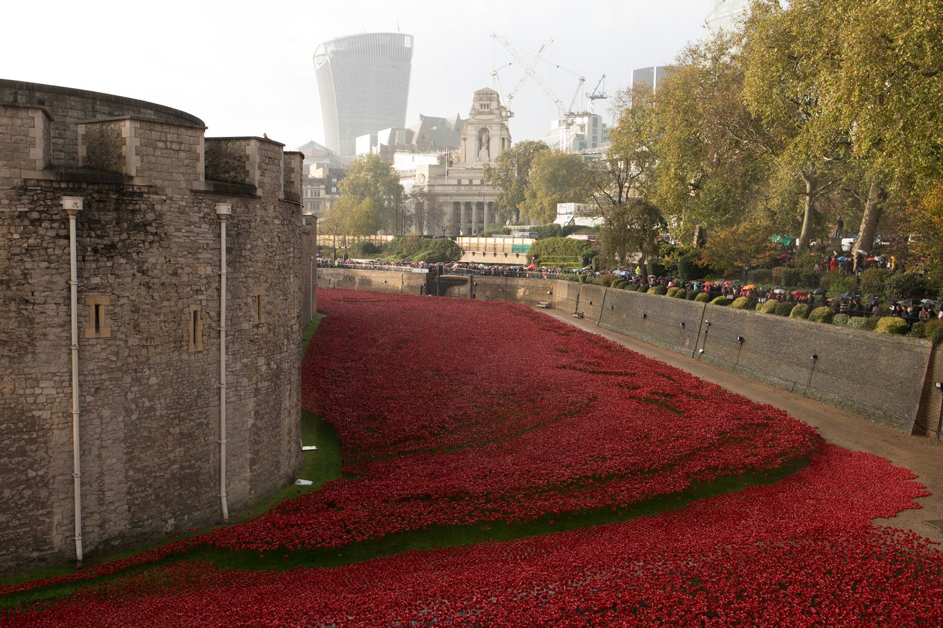 Poppies in moat at Tower of London
