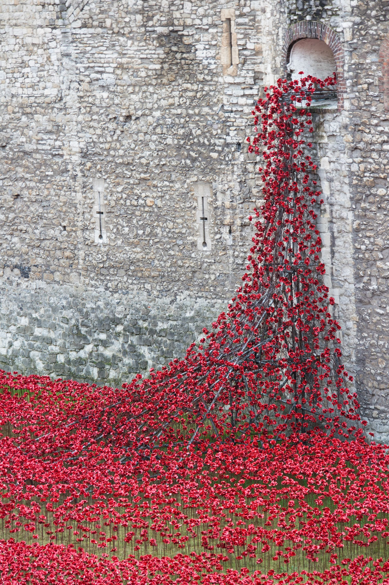Poppies in moat at Tower of London