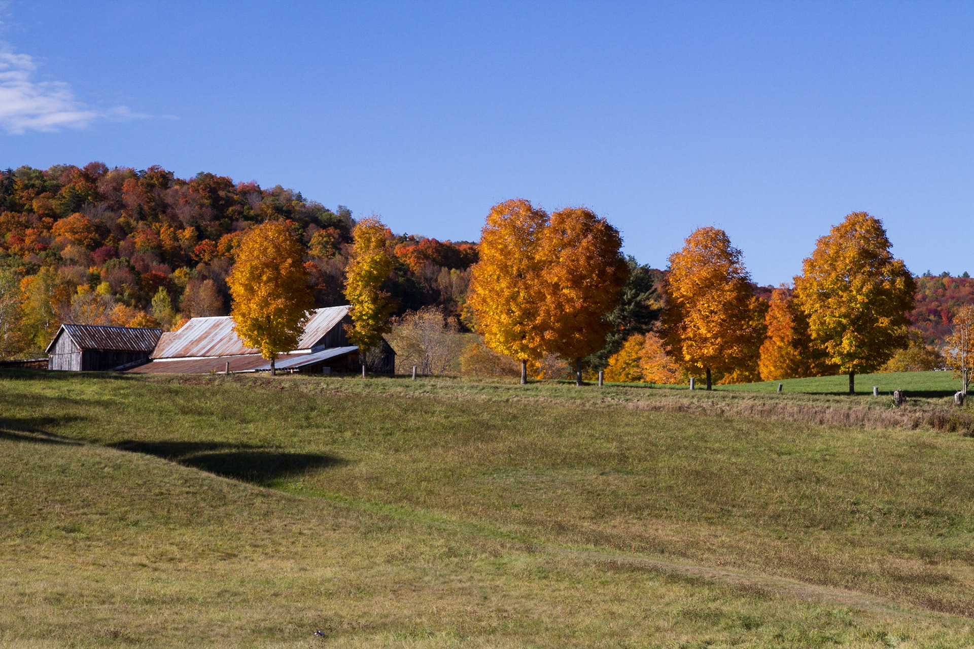 Views along VT Rte 100