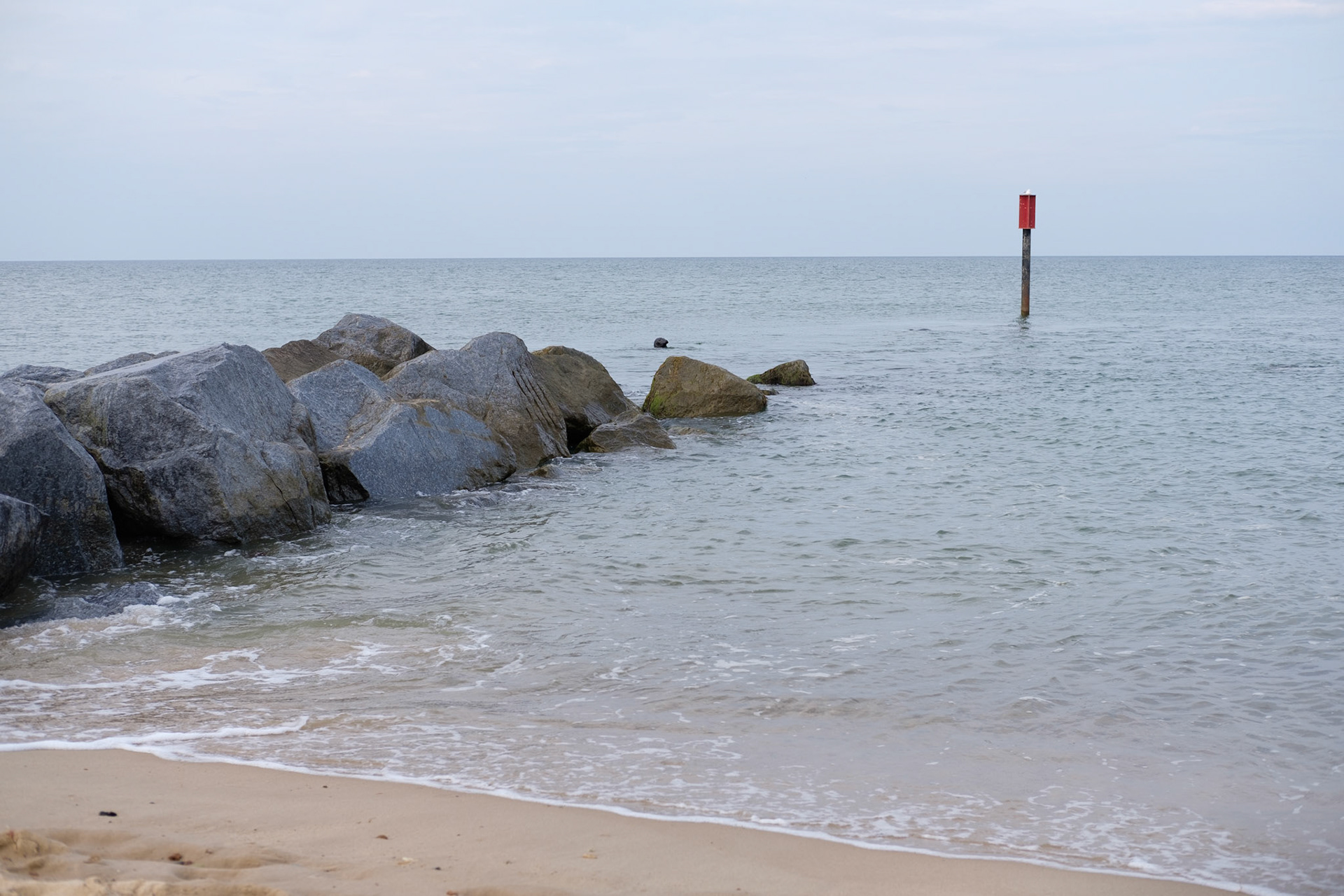 Horsey beach and grey seals